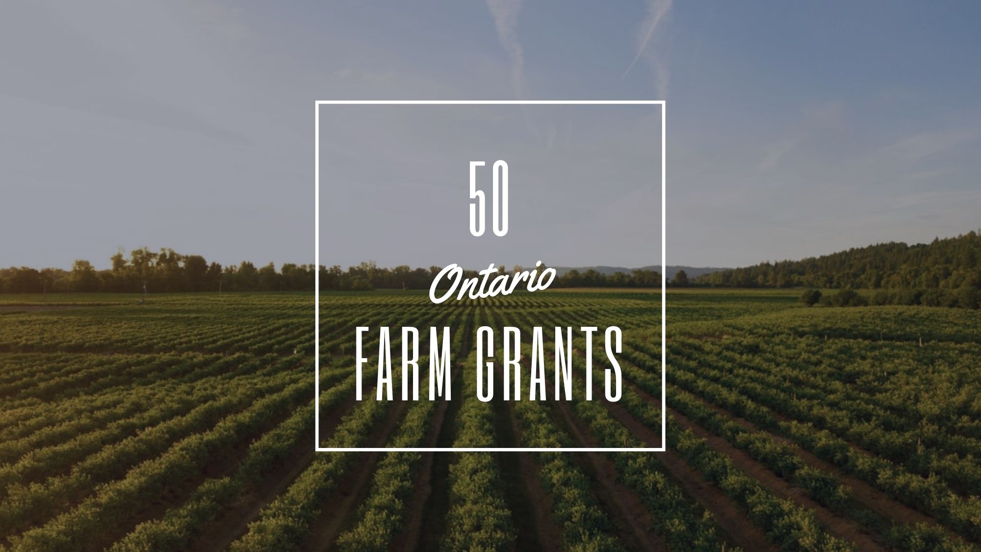 50 Ontario Farm Grants Canada Small Business Startups and Funding